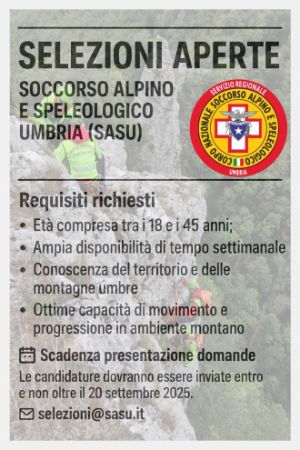 Locandina Sasu